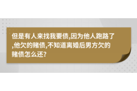 定西为什么选择专业追讨公司来处理您的债务纠纷？